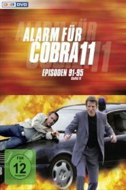 Alerte Cobra saison 13 poster