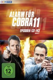 Alerte Cobra saison 19 poster