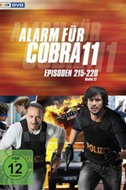 Alerte Cobra saison 29 poster