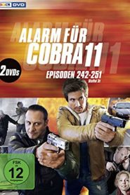 Alerte Cobra saison 33 poster