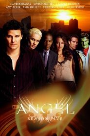 Angel saison 5 poster