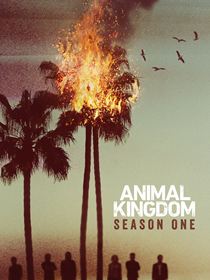 Animal Kingdom 