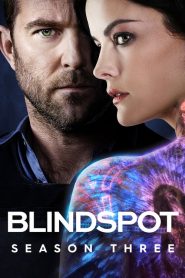 Blindspot saison 3 poster