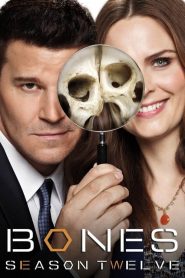 Bones saison 12 poster
