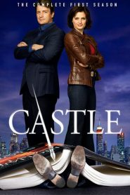 Castle saison 1 poster