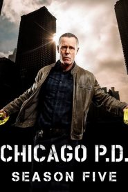 Chicago Police Department saison 5 poster