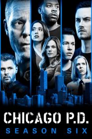 Chicago Police Department saison 6 poster