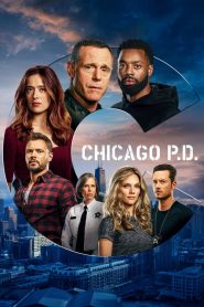 Chicago Police Department saison 8 poster