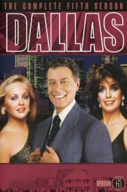 Dallas saison 5 poster