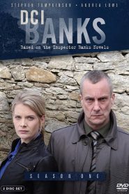 DCI Banks saison 1 poster