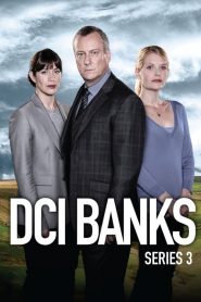 DCI Banks saison 3 poster