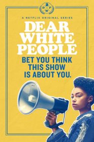 Dear White People saison 1 poster