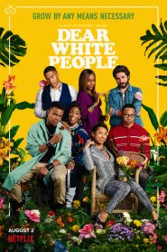 Dear White People saison 3 poster