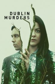 Dublin Murders saison 1 poster