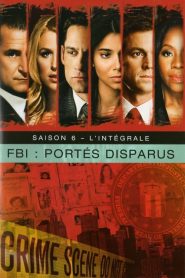 FBI Portés Disparus saison 6 poster