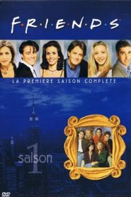 Friends saison 1 poster