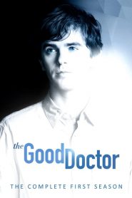 Good Doctor saison 1 poster