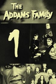La Famille Addams saison 1 poster