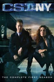 Les Experts : Manhattan saison 1 poster