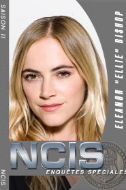 NCIS : Enquêtes Spéciales saison 11 poster