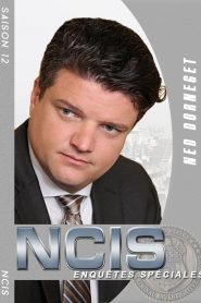 NCIS : Enquêtes Spéciales saison 12 poster