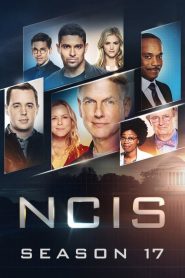 NCIS : Enquêtes Spéciales saison 17 poster