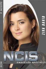 NCIS : Enquêtes Spéciales saison 6 poster