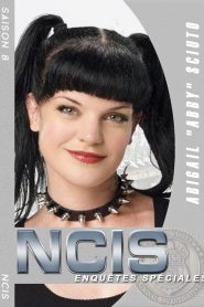 NCIS : Enquêtes Spéciales saison 8 poster