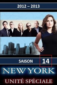 New York, unité spéciale saison 14 poster