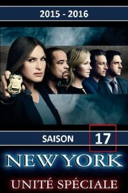 New York, unité spéciale saison 17 poster
