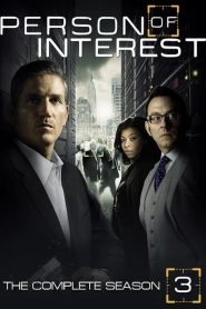 Person of Interest 