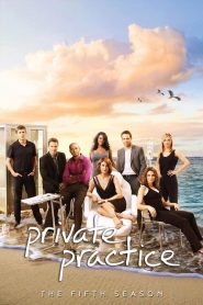 Private Practice saison 5 poster