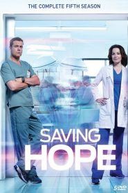 Saving Hope : au-delà de la médecine saison 5 poster
