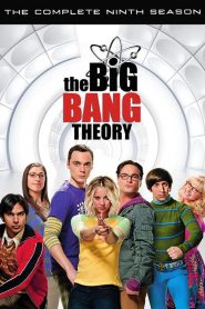 The Big Bang Theory saison 9 poster