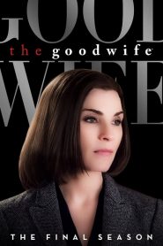 The Good Wife saison 7 poster