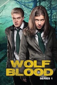 Wolfblood saison 1 poster