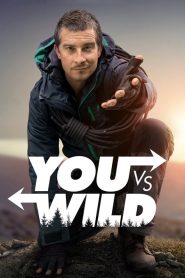 You vs. Wild saison 1 poster