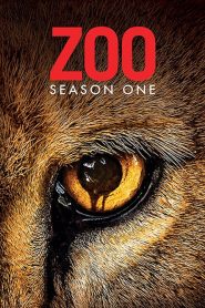 Zoo saison 1 poster
